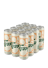 Witte Port & Tonic: 12x250ml